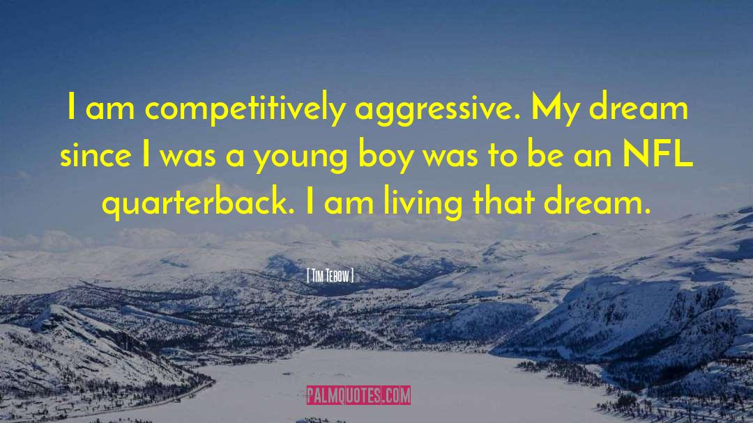 Young Boy quotes by Tim Tebow