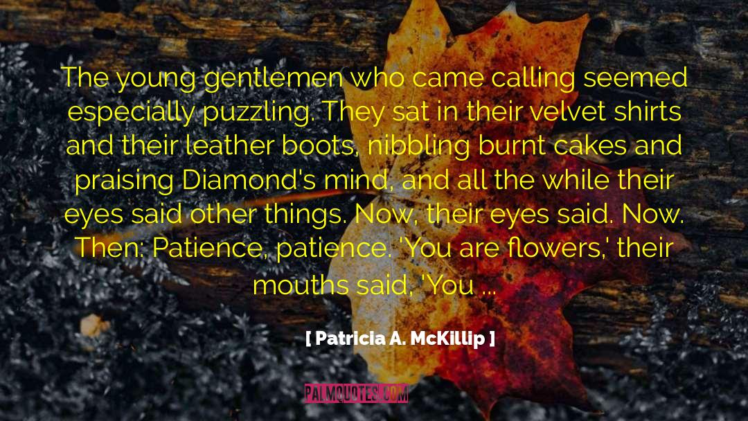 Young Gentlemen quotes by Patricia A. McKillip