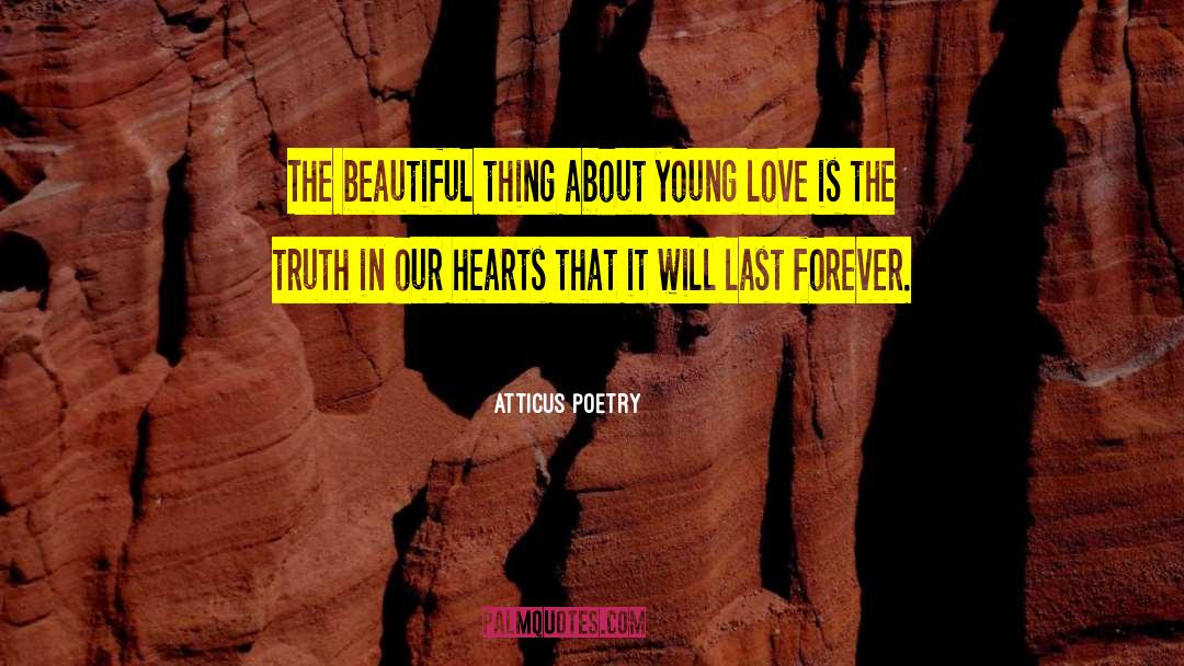 Young Love quotes by Atticus Poetry
