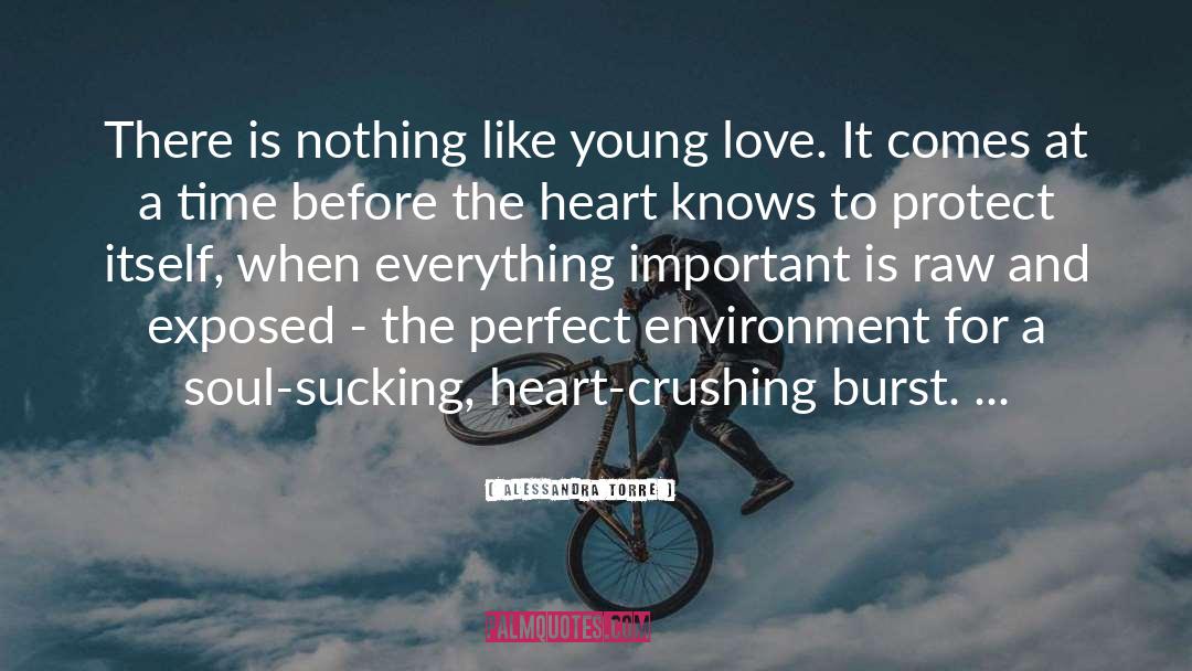 Young Lovers quotes by Alessandra Torre