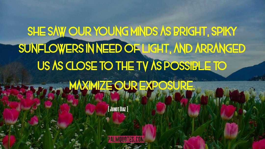 Young Minds quotes by Junot Diaz