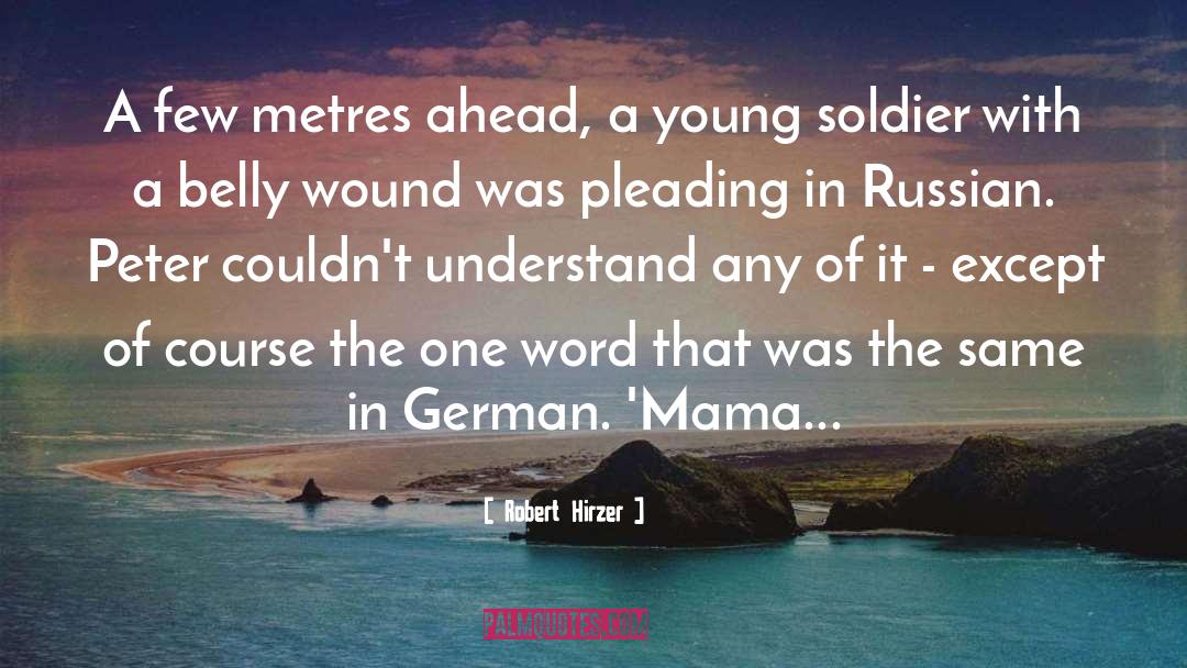 Young Mother quotes by Robert Hirzer