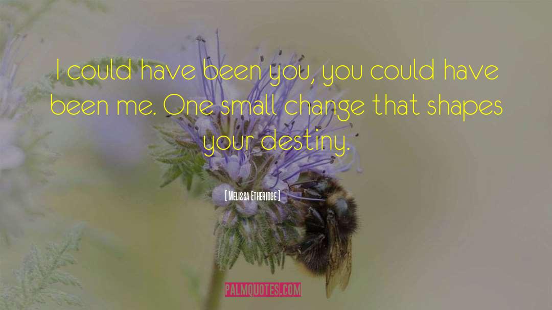Your Destiny quotes by Melissa Etheridge
