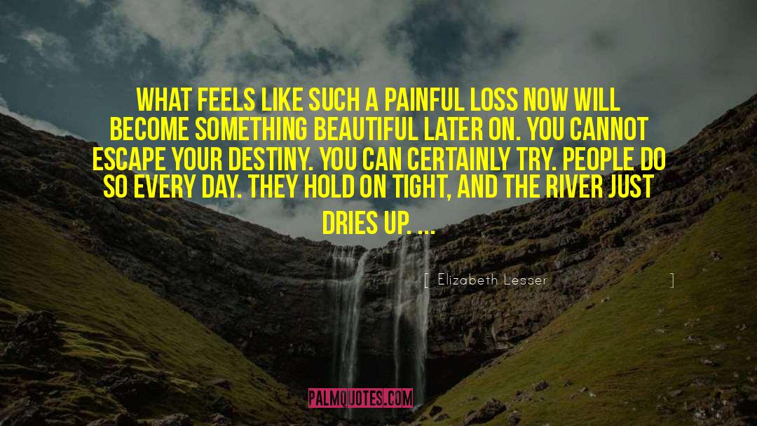 Your Destiny quotes by Elizabeth Lesser
