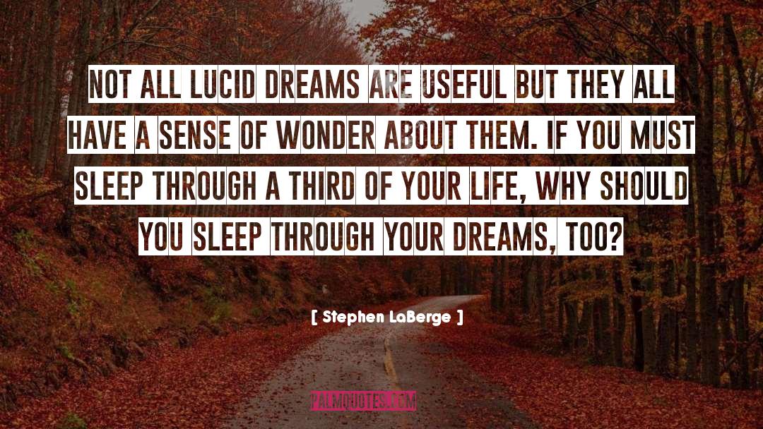 Your Dreams Are Not Impossible quotes by Stephen LaBerge