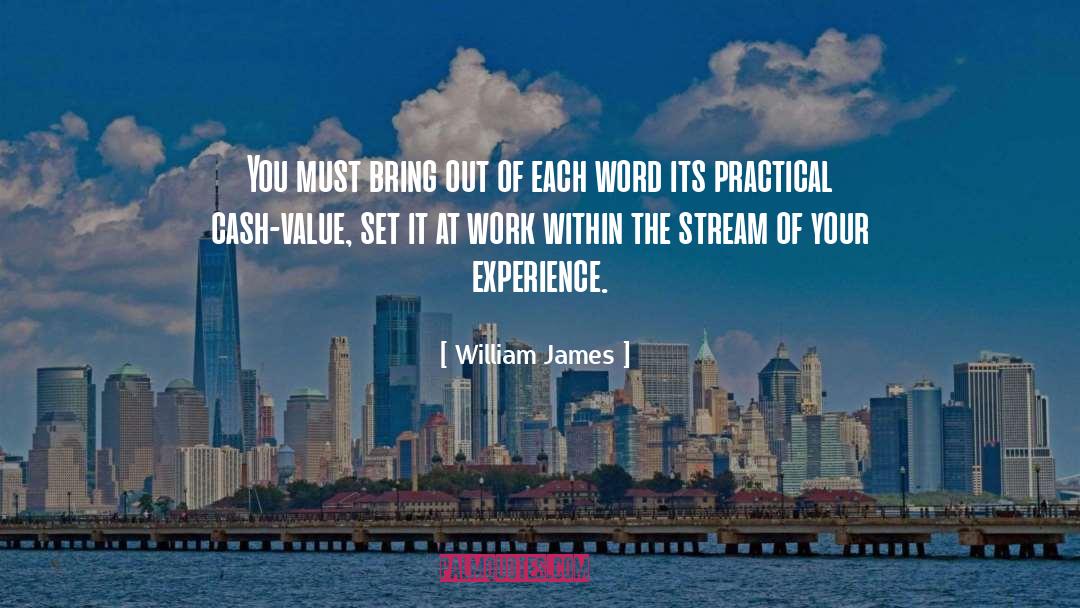 Your Experience quotes by William James