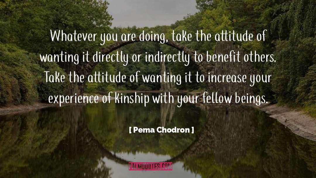 Your Experience quotes by Pema Chodron