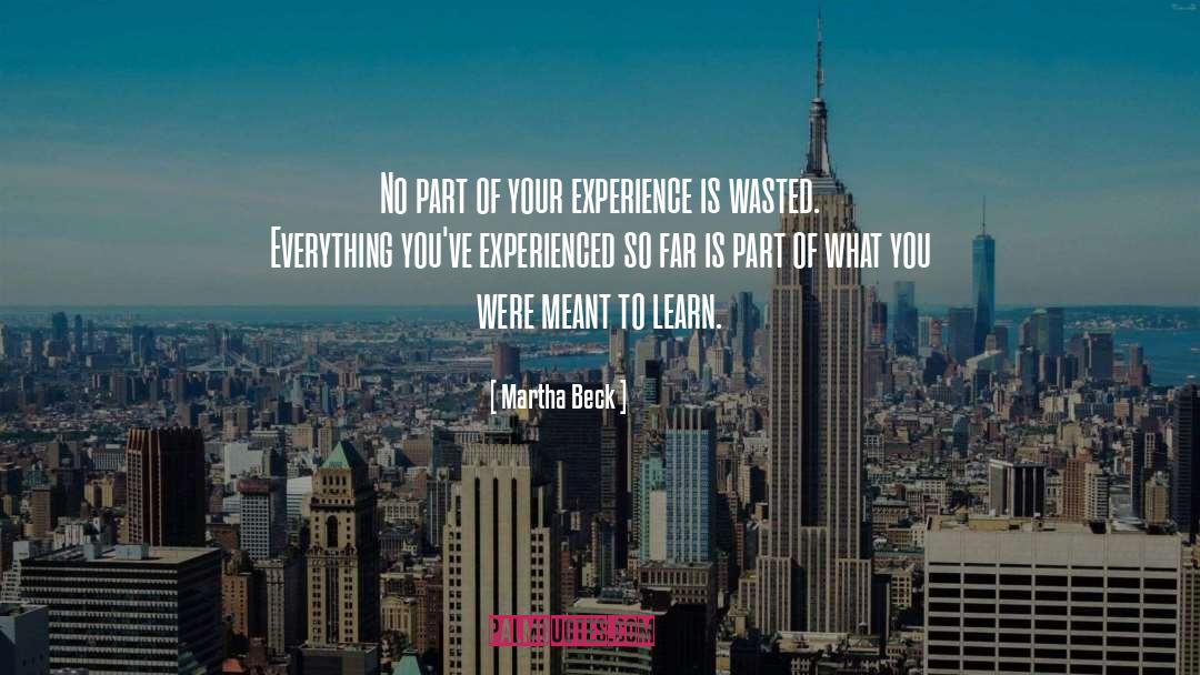 Your Experience quotes by Martha Beck