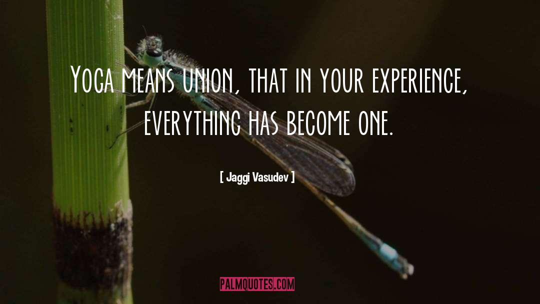 Your Experience quotes by Jaggi Vasudev