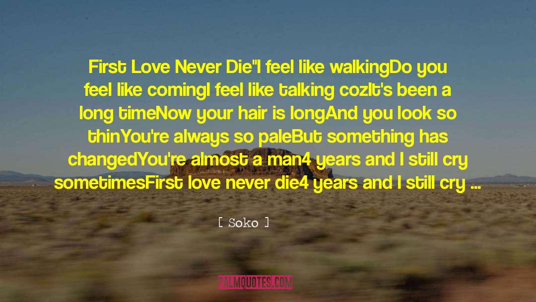 Your First Love Never Dies quotes by Soko