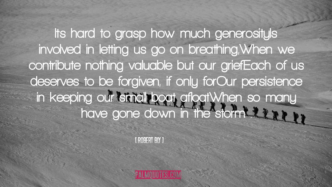 Your Generosity quotes by Robert Bly