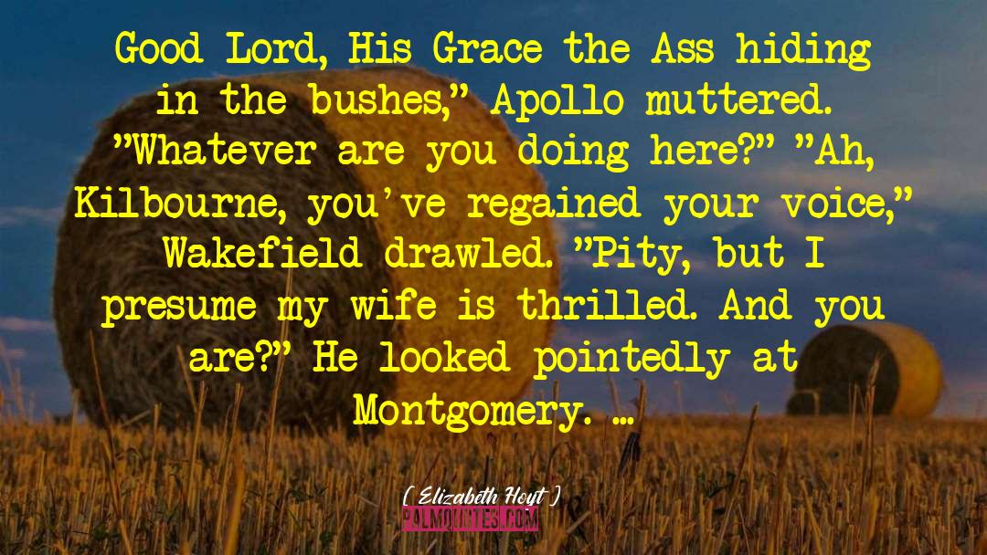 Your Grace And Mercy quotes by Elizabeth Hoyt