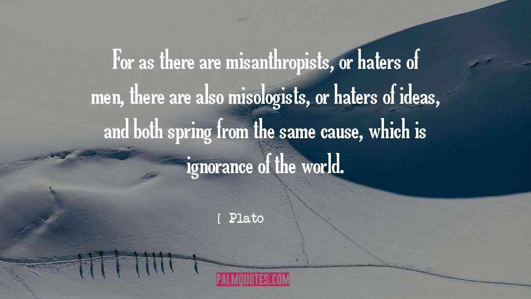 Your Haters quotes by Plato