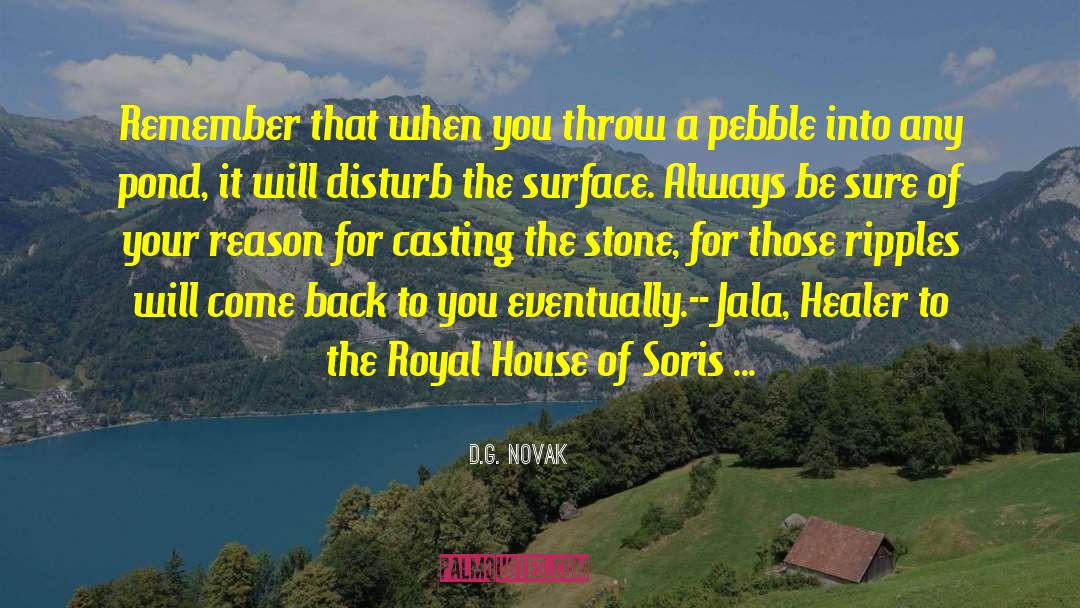 Your House quotes by D.G. Novak