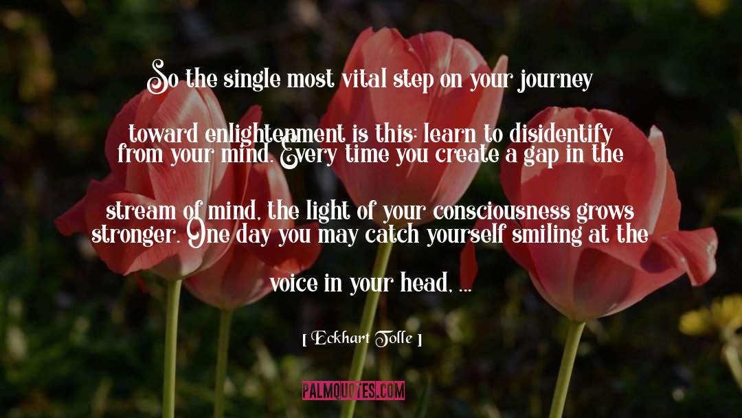 Your Journey quotes by Eckhart Tolle