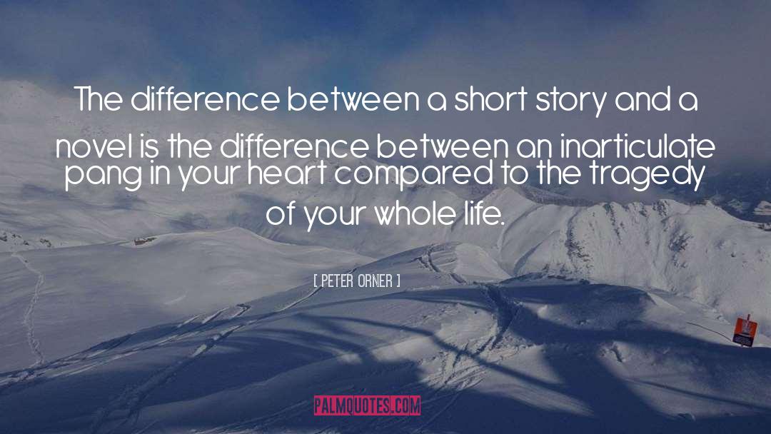 Your Life Is An Aspiring Story quotes by Peter Orner