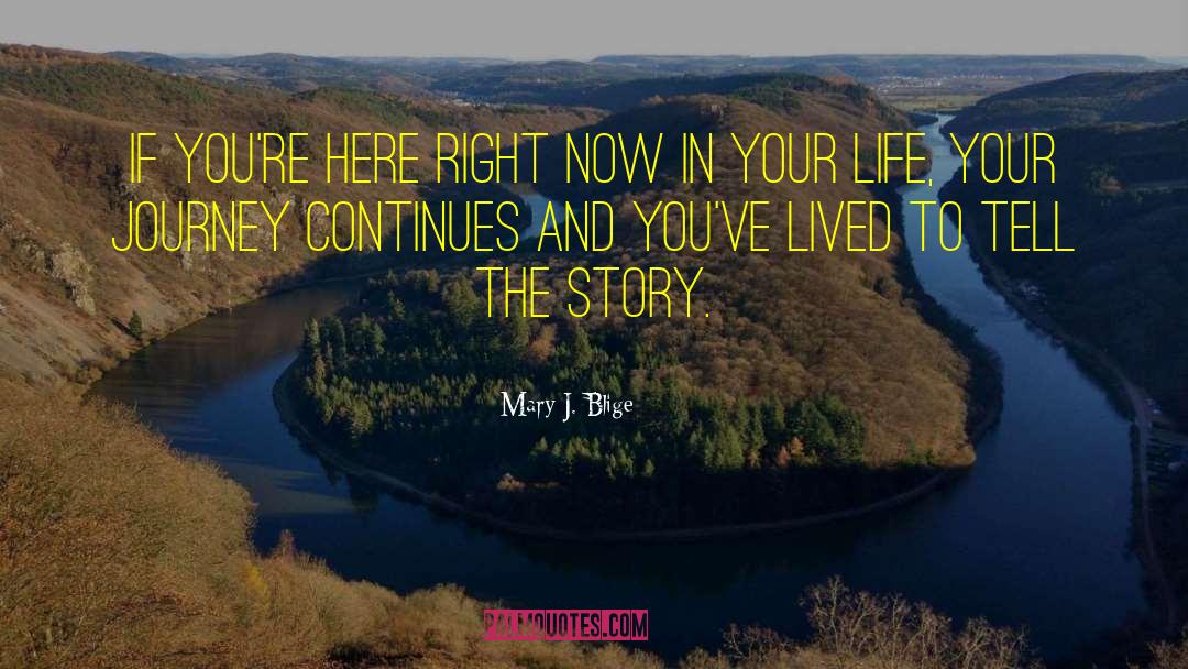 Your Life Your Journey quotes by Mary J. Blige