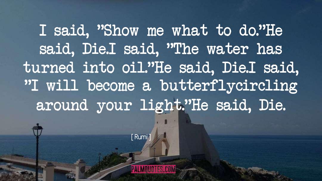 Your Light quotes by Rumi