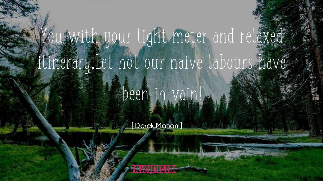 Your Light quotes by Derek Mahon