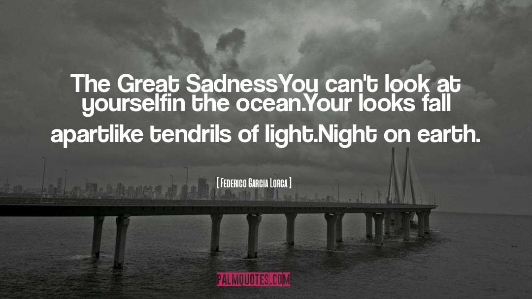 Your Looks quotes by Federico Garcia Lorca