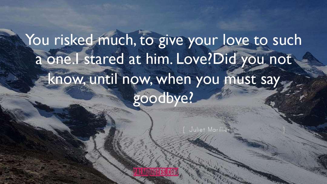 Your Love quotes by Juliet Marillier