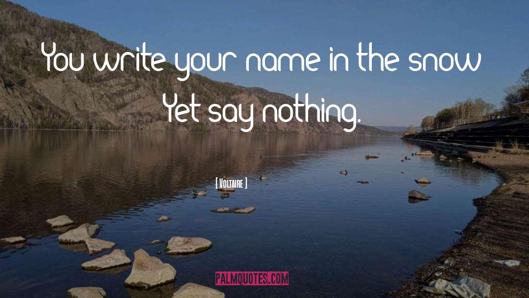 Your Name quotes by Voltaire