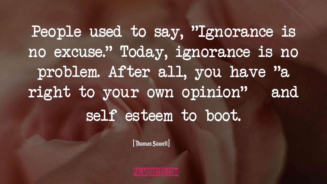 Your Own Opinion quotes by Thomas Sowell