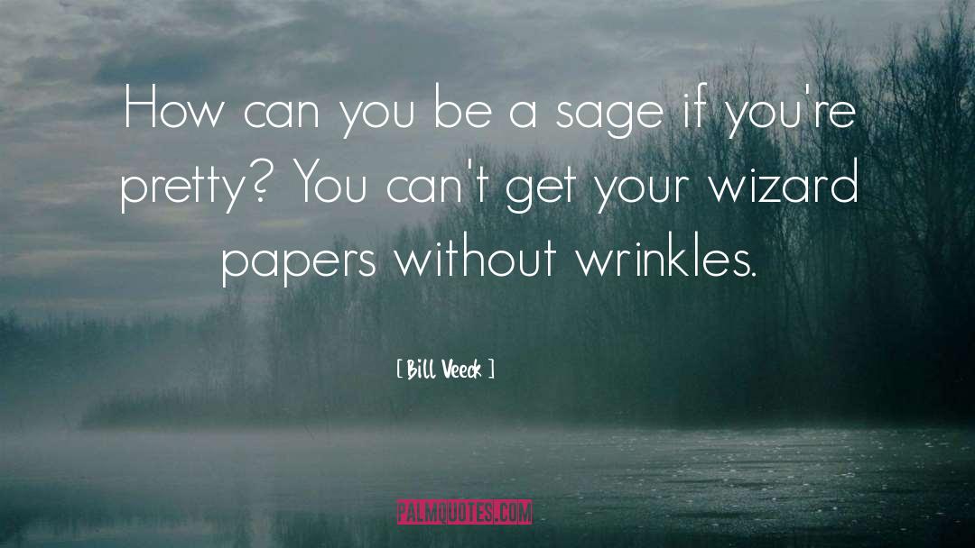 Your Papers Are Not In Order Movie quotes by Bill Veeck