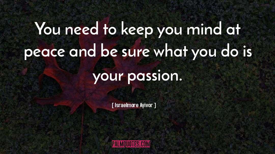 Your Passion quotes by Israelmore Ayivor