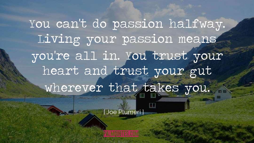 Your Passion quotes by Joe Plumeri