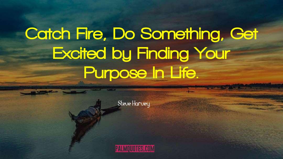 Your Purpose In Life quotes by Steve Harvey