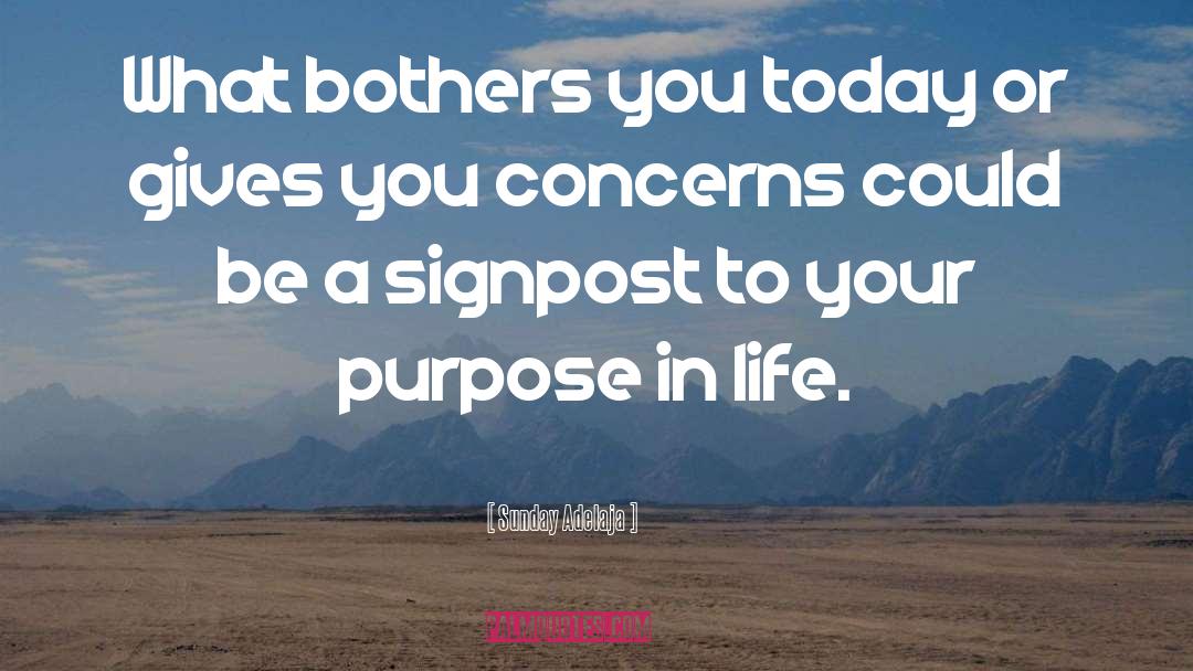 Your Purpose In Life quotes by Sunday Adelaja