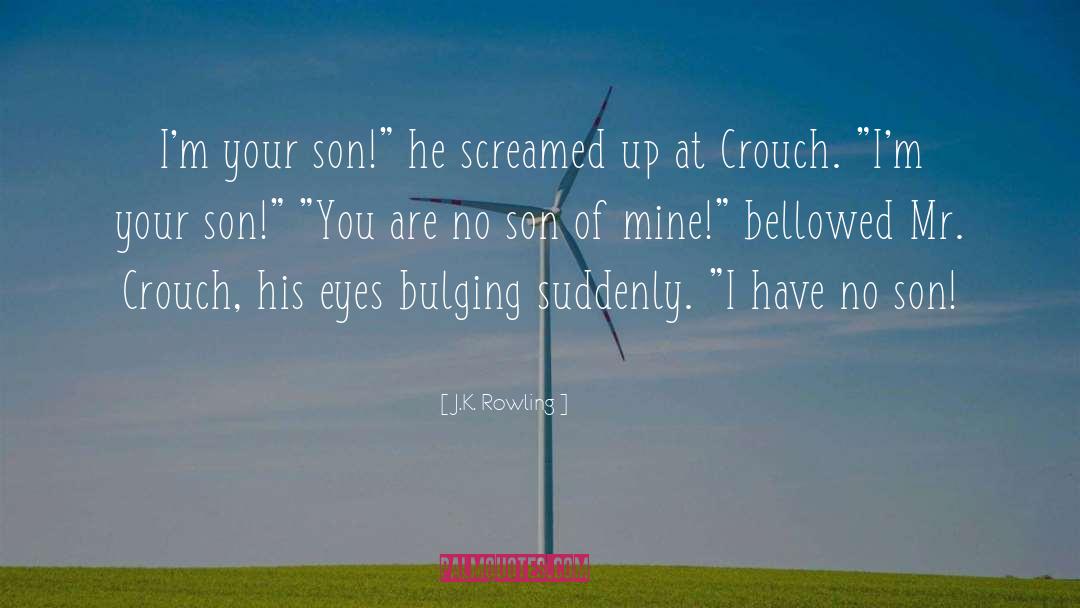 Your Son quotes by J.K. Rowling