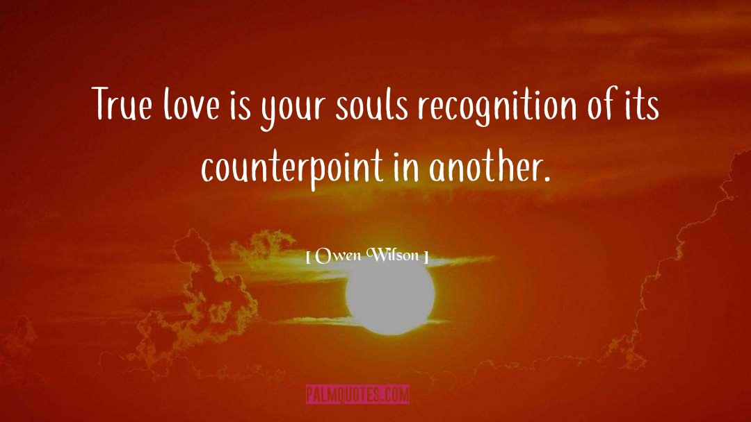 Your Soul quotes by Owen Wilson