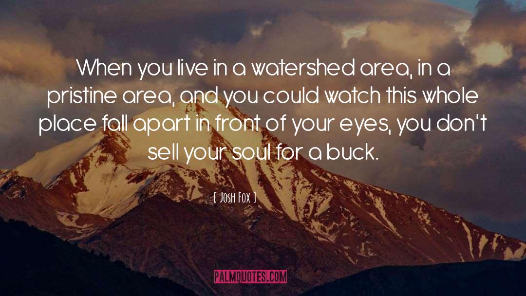 Your Soul quotes by Josh Fox