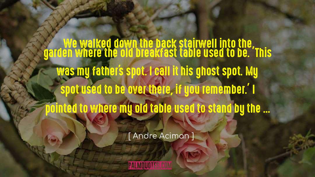Your Spot quotes by Andre Aciman