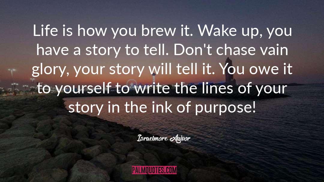 Your Story quotes by Israelmore Ayivor