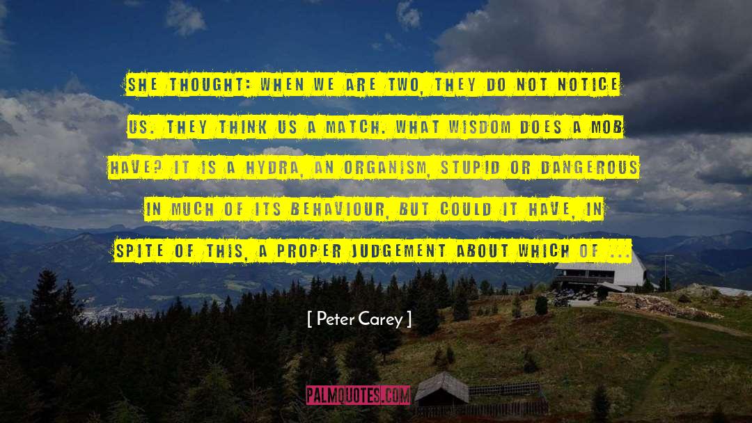 Your Stupid quotes by Peter Carey