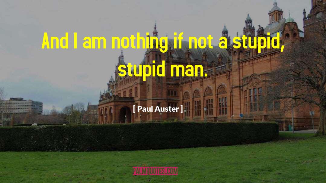 Your Stupid quotes by Paul Auster