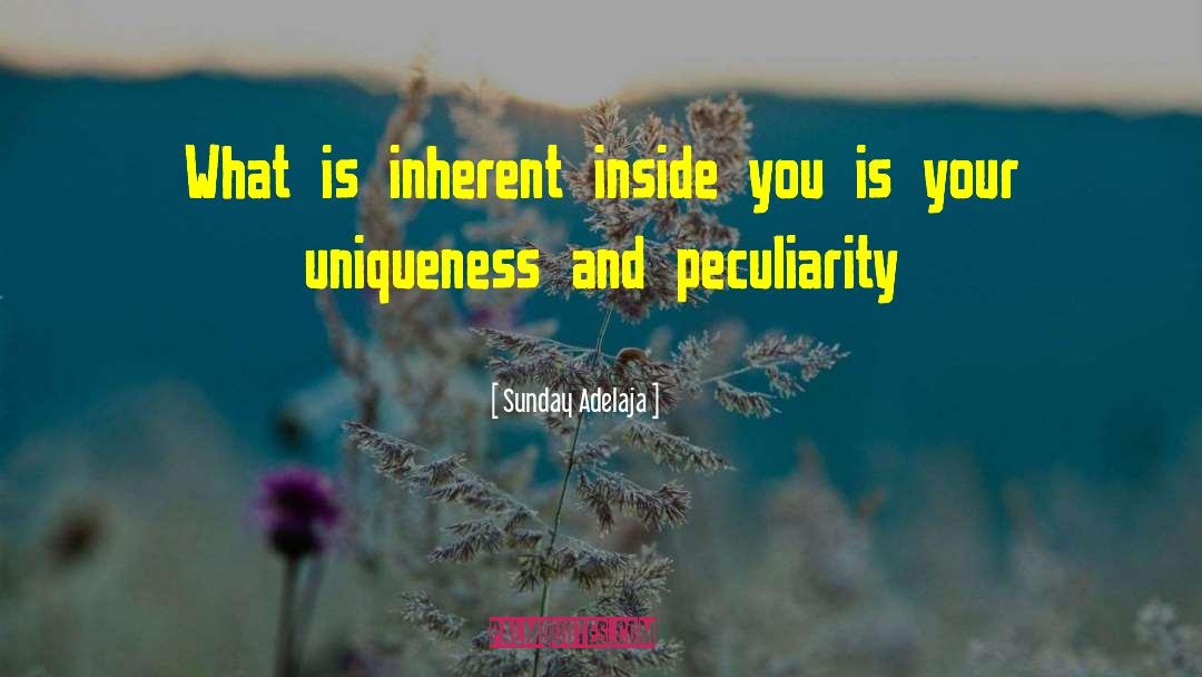 Your Uniqueness quotes by Sunday Adelaja
