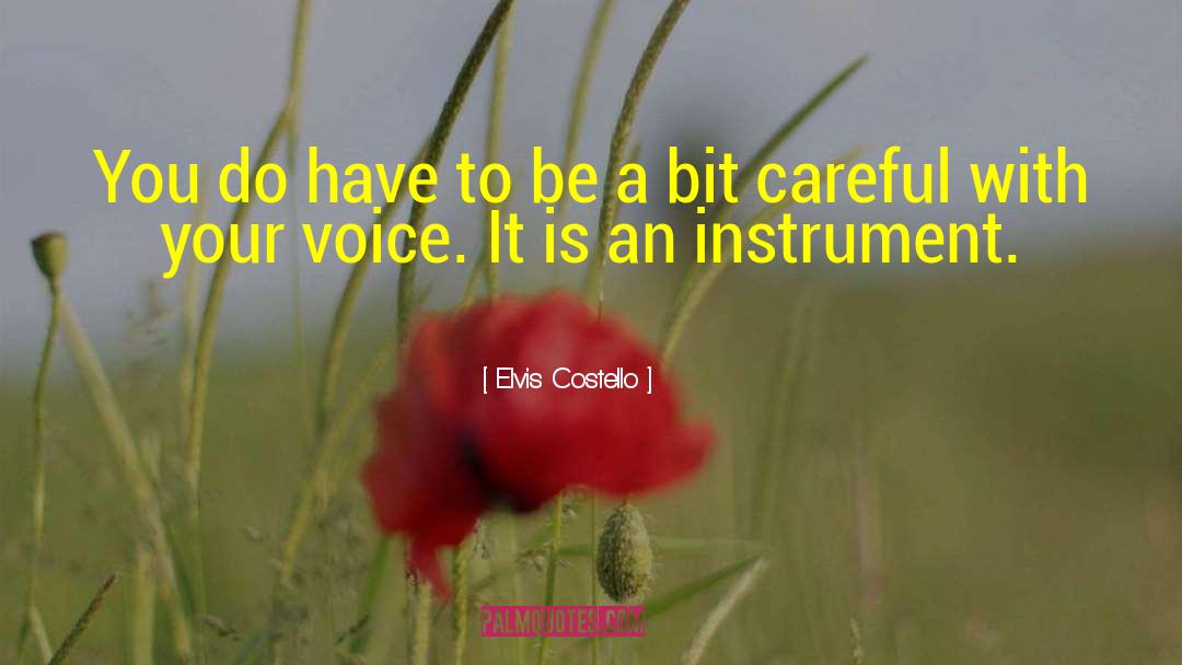 Your Voice quotes by Elvis Costello