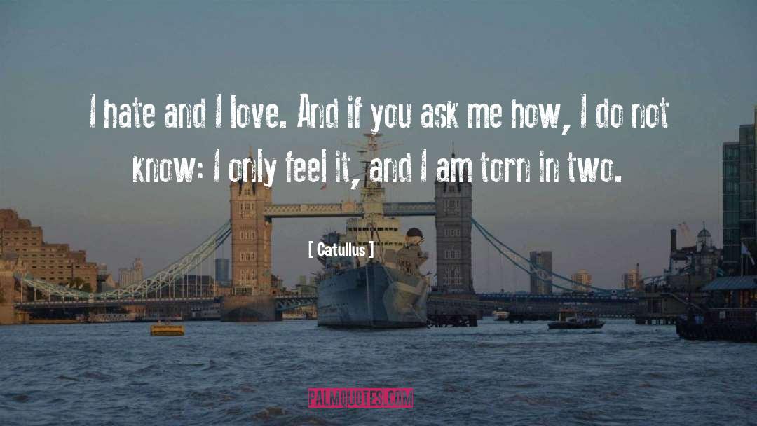 Yourself And Love quotes by Catullus