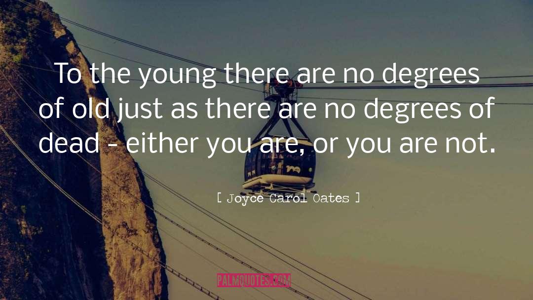 Youth Age quotes by Joyce Carol Oates