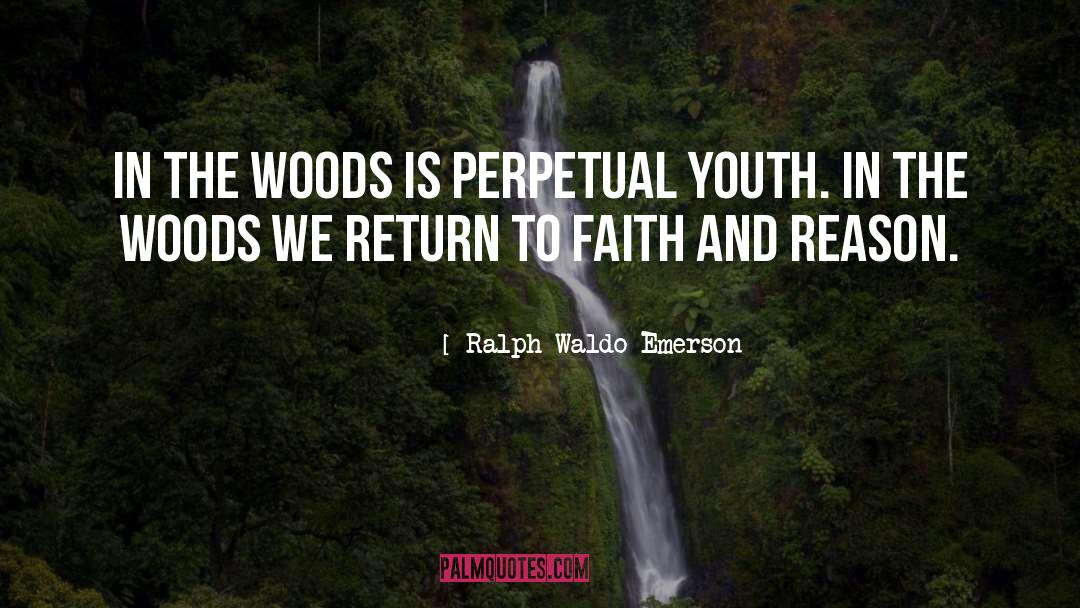 Youth Fiction quotes by Ralph Waldo Emerson