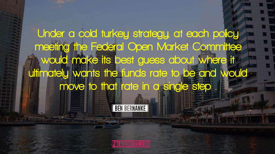 Youth Market Strategy quotes by Ben Bernanke