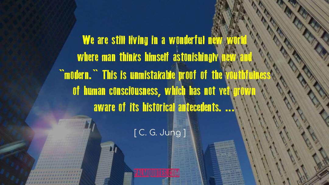 Youthfulness quotes by C. G. Jung