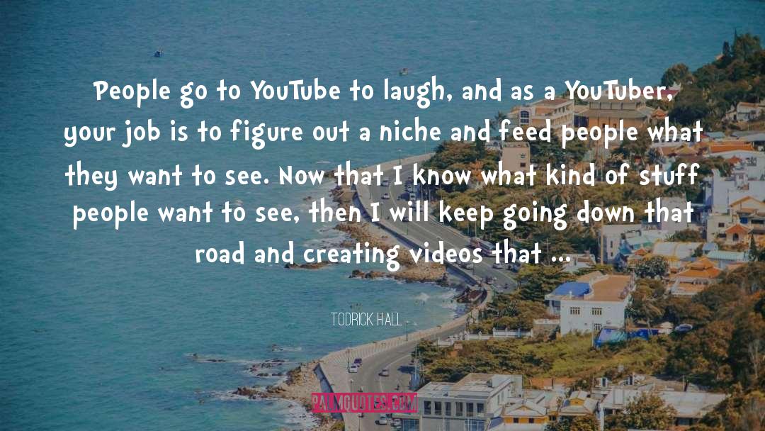Youtuber quotes by Todrick Hall