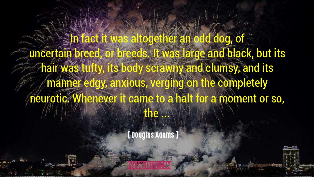 Yuengling Black quotes by Douglas Adams