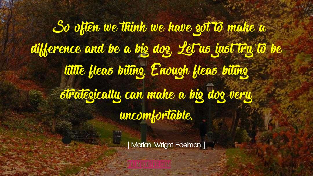Yvonna Wright quotes by Marian Wright Edelman