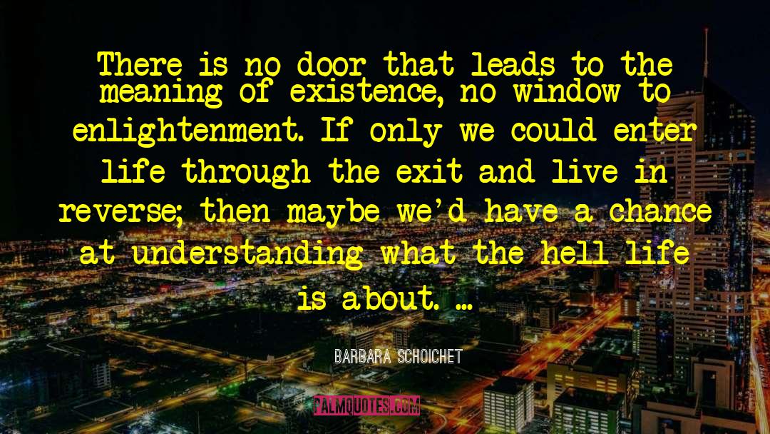 Zabitat Door Window Grace quotes by Barbara Schoichet